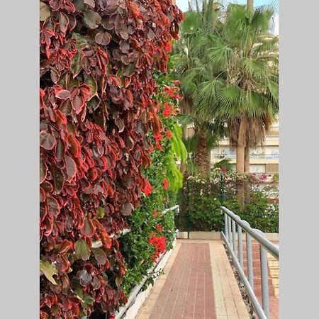Buzanada Jardines Del Sur, Ocean View 아파트 외부 사진