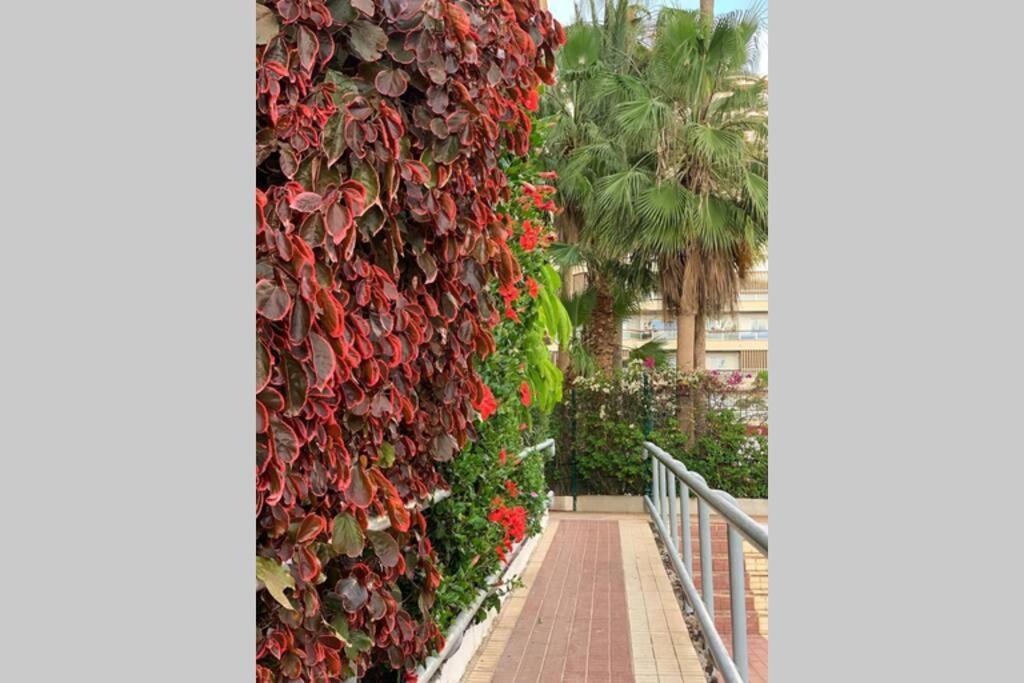 Buzanada Jardines Del Sur, Ocean View 아파트 외부 사진