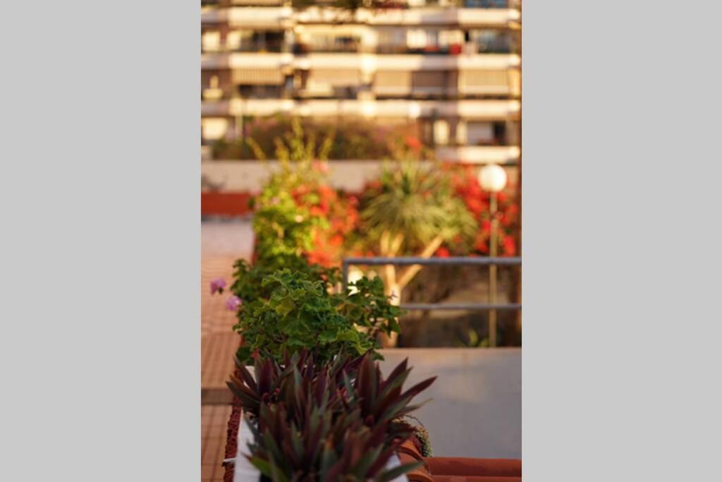 Buzanada Jardines Del Sur, Ocean View 아파트 외부 사진